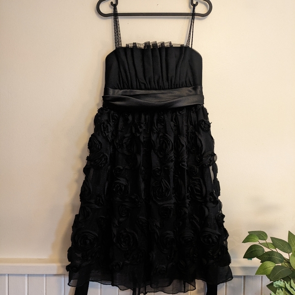Unique rosette mesh dress.  Sz 10 - Picture 2 of 7